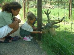 thumbs/AllashaFeedingDeer2001a.JPG.jpg