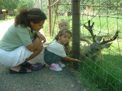thumbs/AllashaFeedingDeer2001b.JPG.jpg