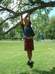 thumbs/EmmonHangingFromTreeNodak2001c.JPG.jpg