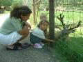 thumbs/AllashaFeedingDeer2001b.jpg.jpg