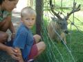 thumbs/EmmonFeedingDeer2001.jpg.jpg