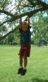 thumbs/EmmonHangingFromTreeNodak2001b.jpg.jpg