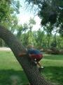 thumbs/EmmonTryingToClimbTreeNodak2001b.jpg.jpg