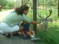 thumbs/KoluFeedingDeer2001a.jpg.jpg