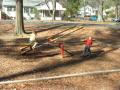 thumbs/EmmonAllashaSeeSaw2001b.jpg.jpg