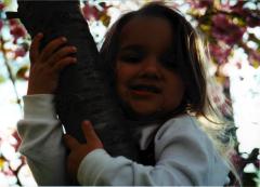 thumbs/AllashaCherryTreeCloseup1.jpg.jpg