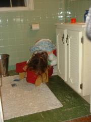 thumbs/AllashaSleepingToilet2.JPG.jpg