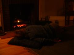 thumbs/KoluSleepingByTheFire4.JPG.jpg