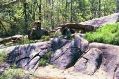 thumbs/010_10.jpg