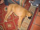 thumbs/IMG_0075.jpg