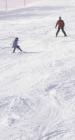 thumbs/IMG_0202.jpg