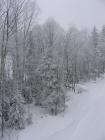 thumbs/IMG_0271.jpg