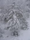 thumbs/IMG_0273.jpg