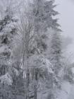 thumbs/IMG_0274.jpg