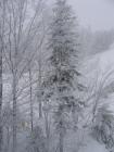 thumbs/IMG_0275.jpg