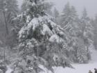 thumbs/IMG_0276.jpg