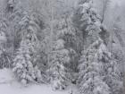 thumbs/IMG_0277.jpg