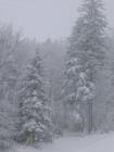 thumbs/IMG_0278.jpg