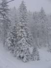 thumbs/IMG_0280.jpg