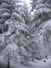 thumbs/IMG_0289.jpg