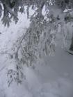 thumbs/IMG_0290.jpg