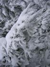 thumbs/IMG_0291.jpg