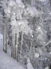 thumbs/IMG_0293.jpg