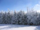 thumbs/IMG_0295.jpg