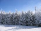 thumbs/IMG_0296.jpg
