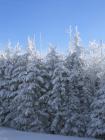 thumbs/IMG_0297.jpg