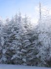 thumbs/IMG_0298.jpg