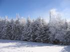 thumbs/IMG_0300.jpg
