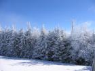 thumbs/IMG_0301.jpg