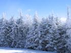 thumbs/IMG_0303.jpg