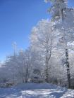 thumbs/IMG_0307.jpg