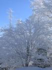 thumbs/IMG_0308.jpg