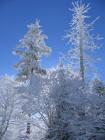thumbs/IMG_0309.jpg