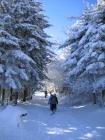 thumbs/IMG_0310.jpg