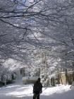 thumbs/IMG_0311.jpg