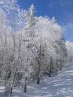 thumbs/IMG_0338.jpg