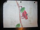 thumbs/IMG_0387.jpg