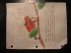 thumbs/IMG_0388.jpg