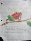 thumbs/PoisonDartFrog.jpg
