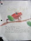 thumbs/sPoisonDartFrog.jpg