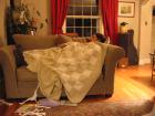 thumbs/IMG_0411.jpg