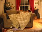 thumbs/IMG_0412.jpg