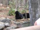 thumbs/IMG_0692.jpg