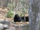 thumbs/IMG_0693.jpg