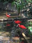 thumbs/IMG_0704.jpg