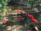 thumbs/IMG_0705.jpg